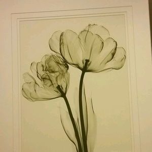 Meet your Posher, Yonca